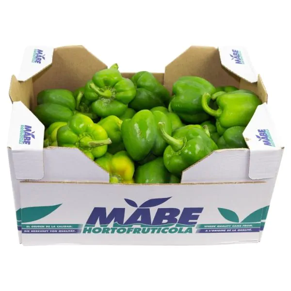 Fresh Green Pepper Box 5kg