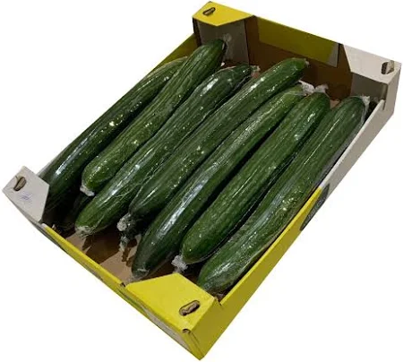 Cucumber Box - 12 Per Box