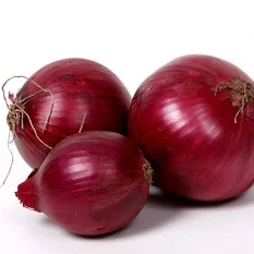 FRESH RED ONIONS 8-10kg