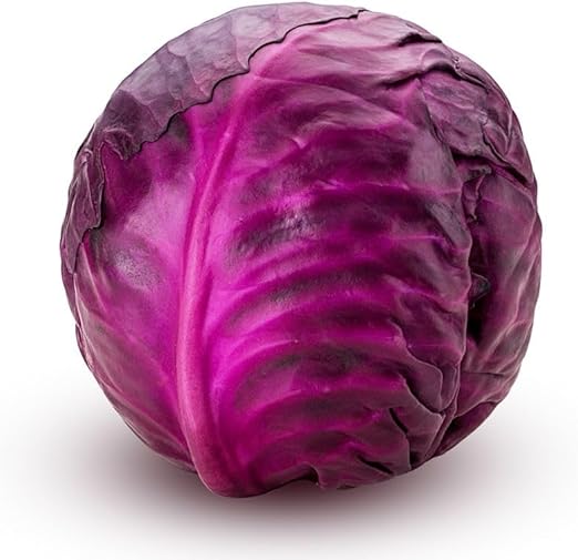 Fresh Small Red Cabbage 10kg bag